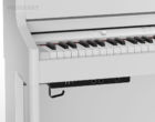 Roland HP-702 WH Digital Piano Anschluesse