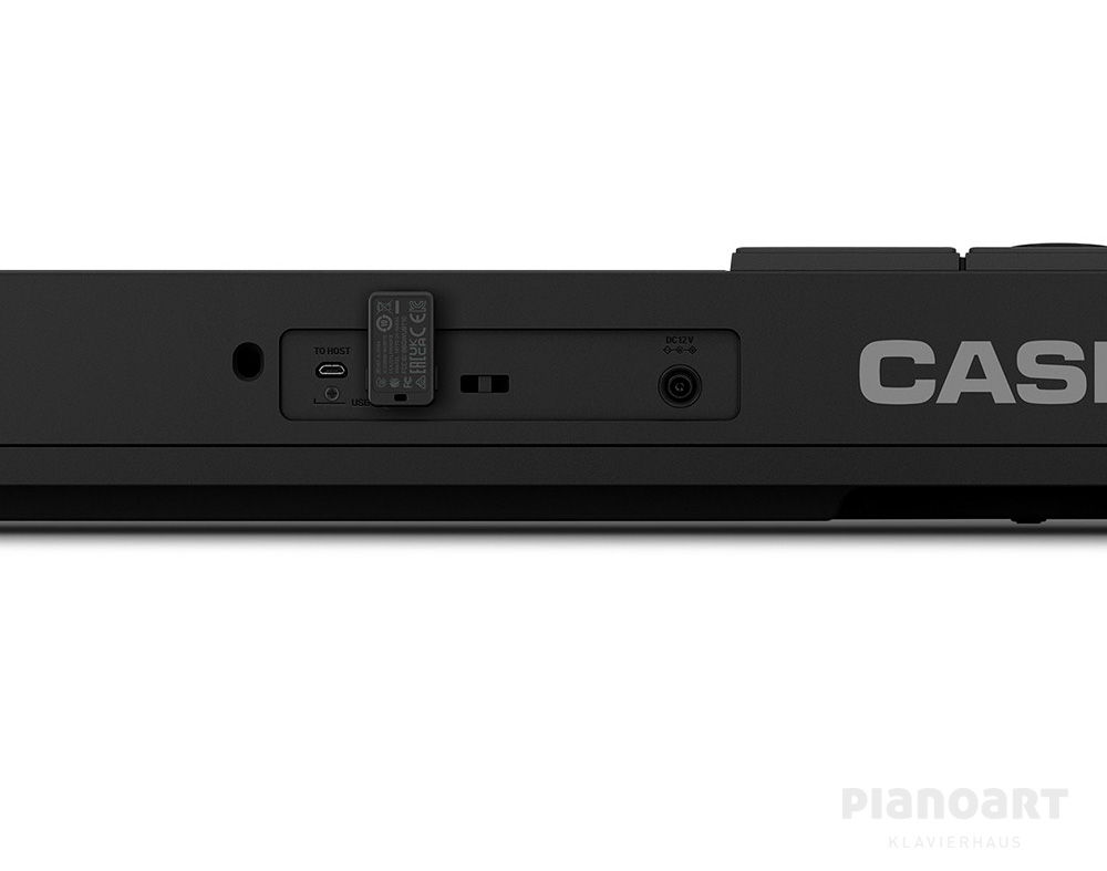 Casiotone CT S500 Keyboard Anschlüsse bkn