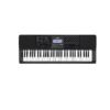 Standard Keyboard Casio CT X-800