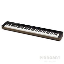 Casio Privia PX-S 6000 E-Piano