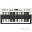 Roland Go Keys 5 in Schwarz und Weiß