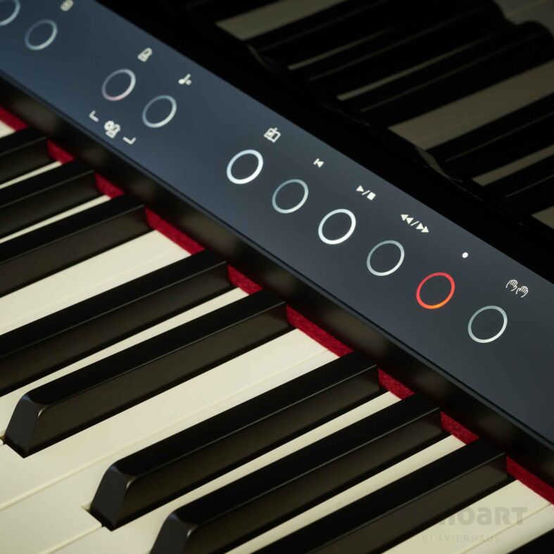 Roland LX-9 PE E - Piano Ansicht Programmfeld