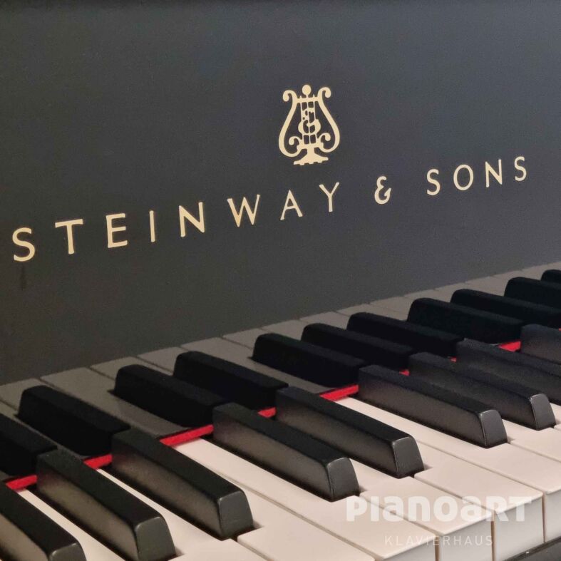 Steinway & Sons Flügel Ansicht Tasten