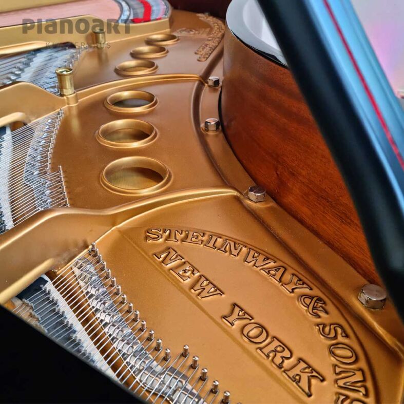 Steinway & Sons M Flügel Ansicht Gussplatte New York