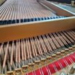 Steinway & Sons M Flügel Ansicht der Saiten