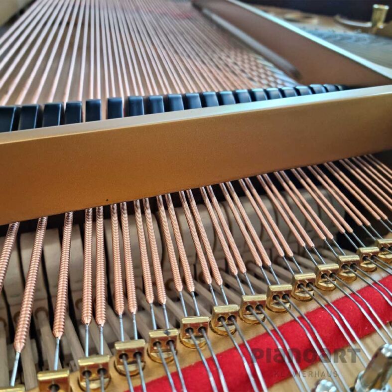 Steinway & Sons M Flügel Ansicht der Saiten