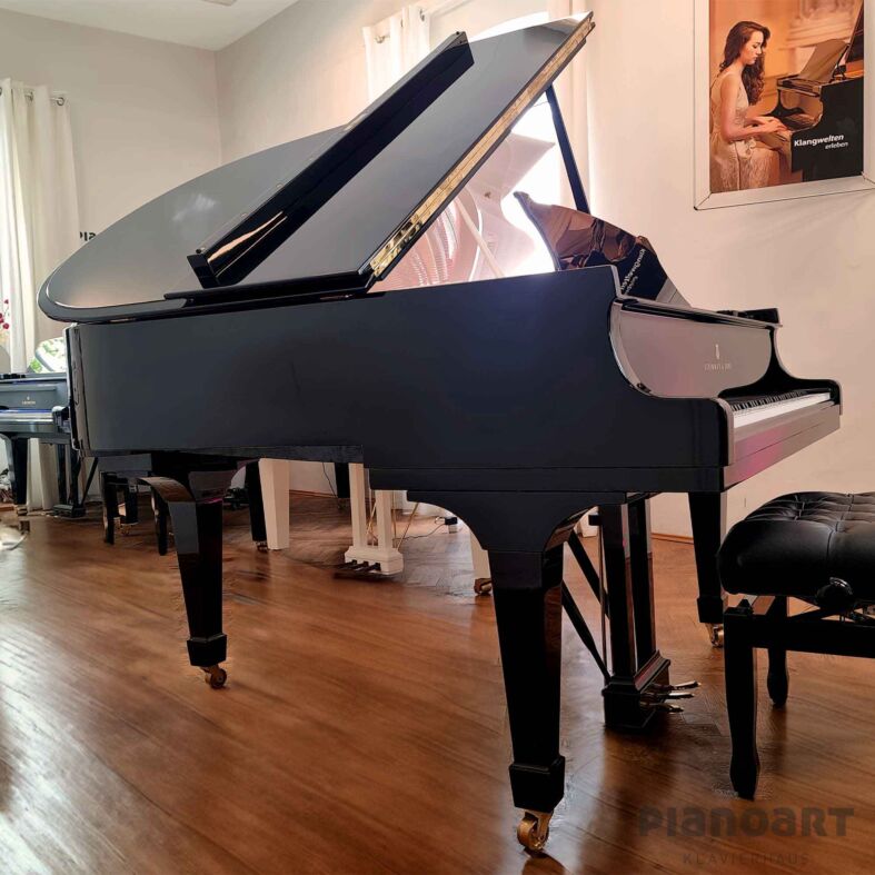 Steinway and Sons Modell M Flügel in Schwarz