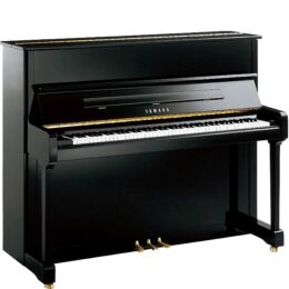 YAMAHA P124